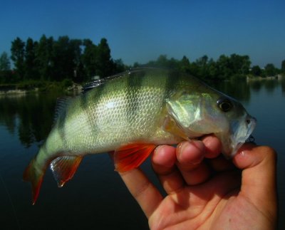 PICT0830.JPG