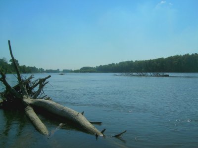 PICT0832.JPG