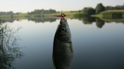 IMG_3194.JPG
