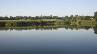 IMG_3196.JPG