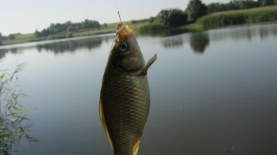 IMG_3199.JPG