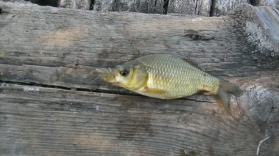 IMG_3201.JPG
