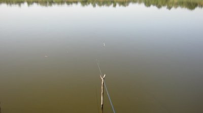 IMG_3202.JPG