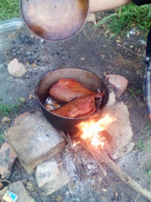 IMG_20160718_185040.jpg