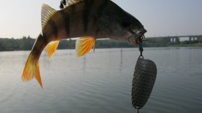 IMG_3211.JPG