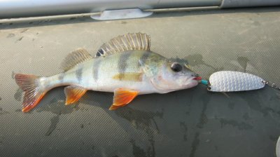 IMG_3212.JPG