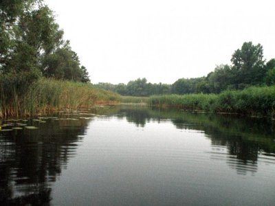 P7254188.jpg