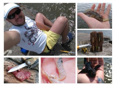 collage-1469523035335.jpg