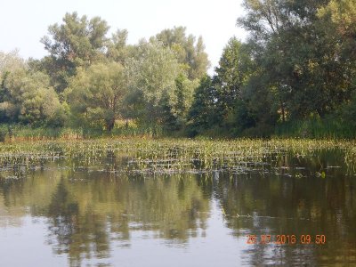 DSCN2138_thumb.jpg