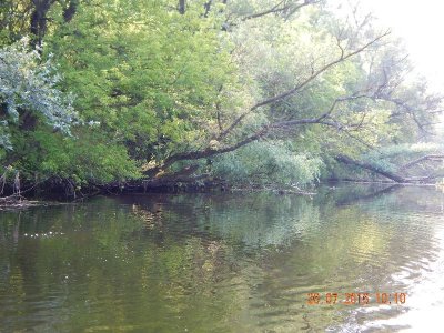 DSCN2142_thumb.jpg