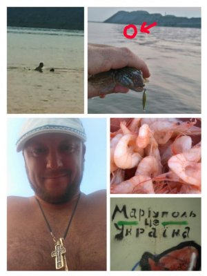 collage-1469640825997.jpg