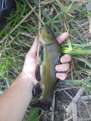DSCN2989.JPG