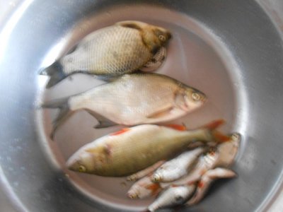 DSCN3000.JPG