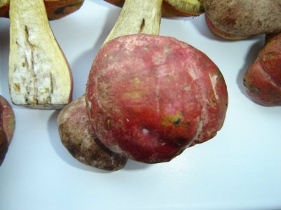 DSC01711.JPG
