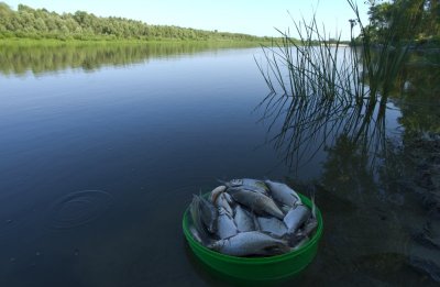 ulov_800.jpg