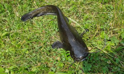 20160725_140958.jpg
