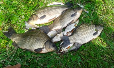 20160725_140830.jpg