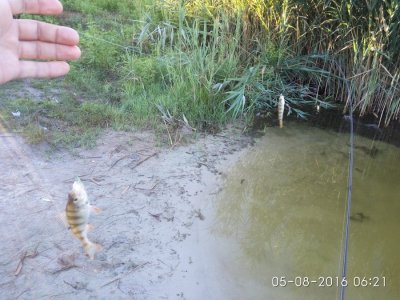 IMG_20160805_062155.jpg