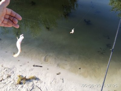 IMG_20160805_072533.jpg