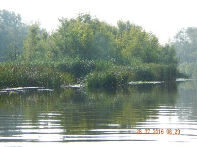 DSCN2226_thumb.jpg