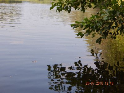 DSCN2243_thumb.jpg