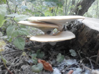 20160807_135701.jpg