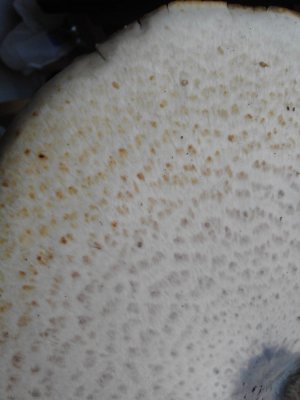 20160807_155300[1].jpg