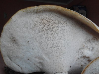 20160807_155334[1].jpg