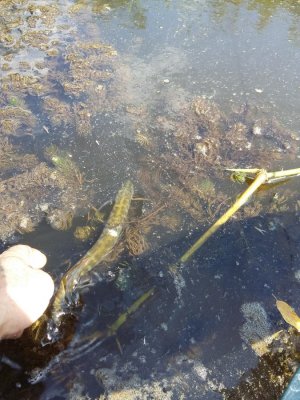 20160806_142031.jpg