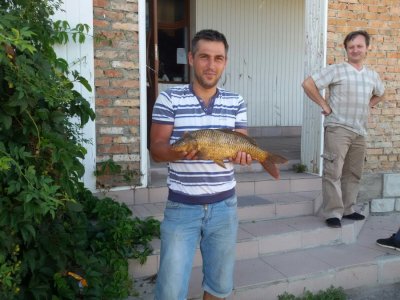 Karp-04-August-2016.jpg