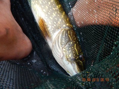 DSCN2520_thumb.jpg