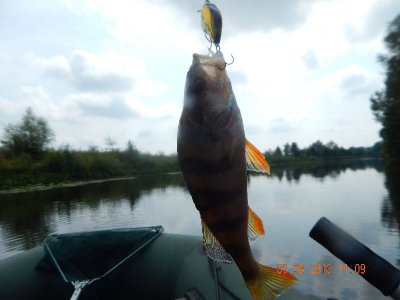 DSCN2532_thumb.jpg