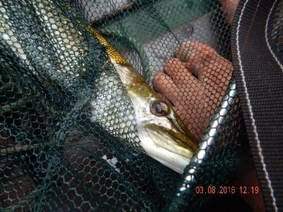 DSCN2544_thumb.jpg