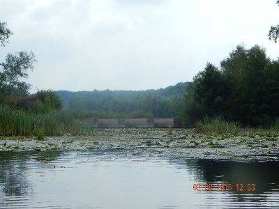 DSCN2546_thumb.jpg