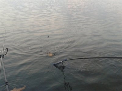 20160811_194956.jpg