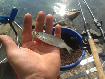 20160812_090930.jpg