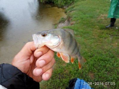 IMG_20160813_070507.jpg