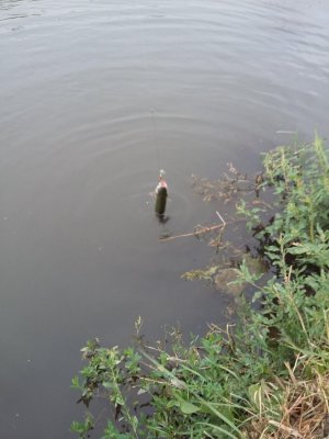 20160813_180345.jpg
