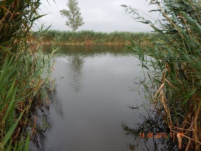 DSCN2718_thumb.jpg