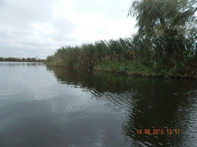 DSCN2720_thumb.jpg
