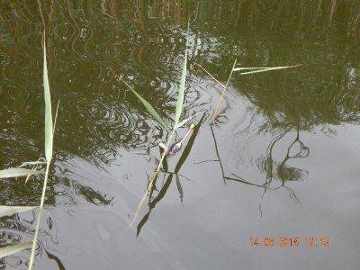 DSCN2723_thumb.jpg