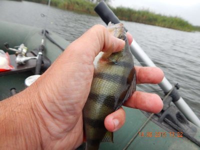 DSCN2728_thumb.jpg