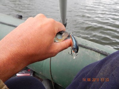 DSCN2729_thumb.jpg