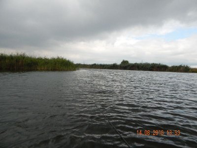 DSCN2730_thumb.jpg