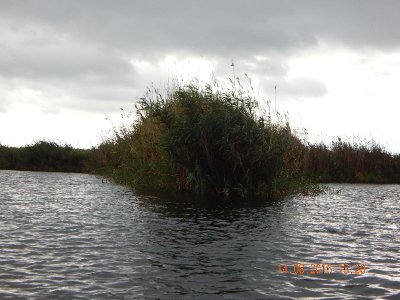 DSCN2739_thumb.jpg