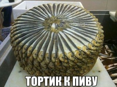 DQmM_w-CJFU.jpg