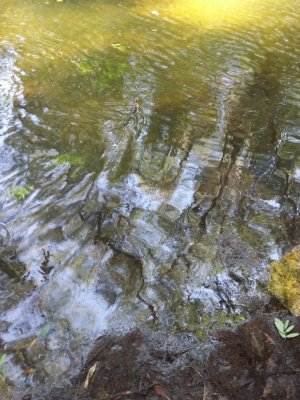 20160710_121628.jpg