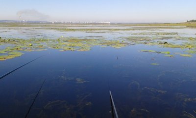 20160821_095336.jpg