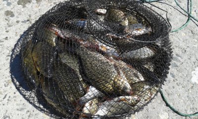 20160821_151100.jpg