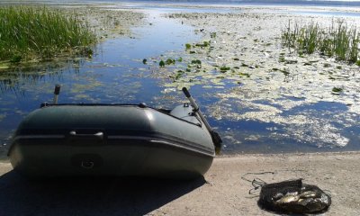 20160821_151129.jpg